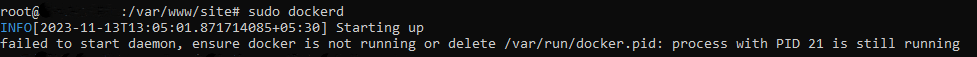 Failed to start daemon, ensure docker is not running or delete /var/run/docker.pid: process with PID 21 is still running
